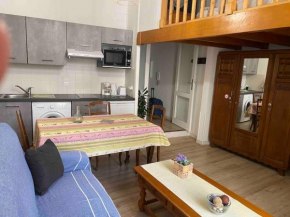 STUDIO MEUBLE/CLIM CENT HIST PERPIG+ PARK GRATUIT